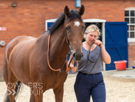 EL160923-73 - Emma Lavelle Stable Visit